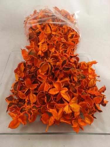 Cotton pods 250 gr. orange